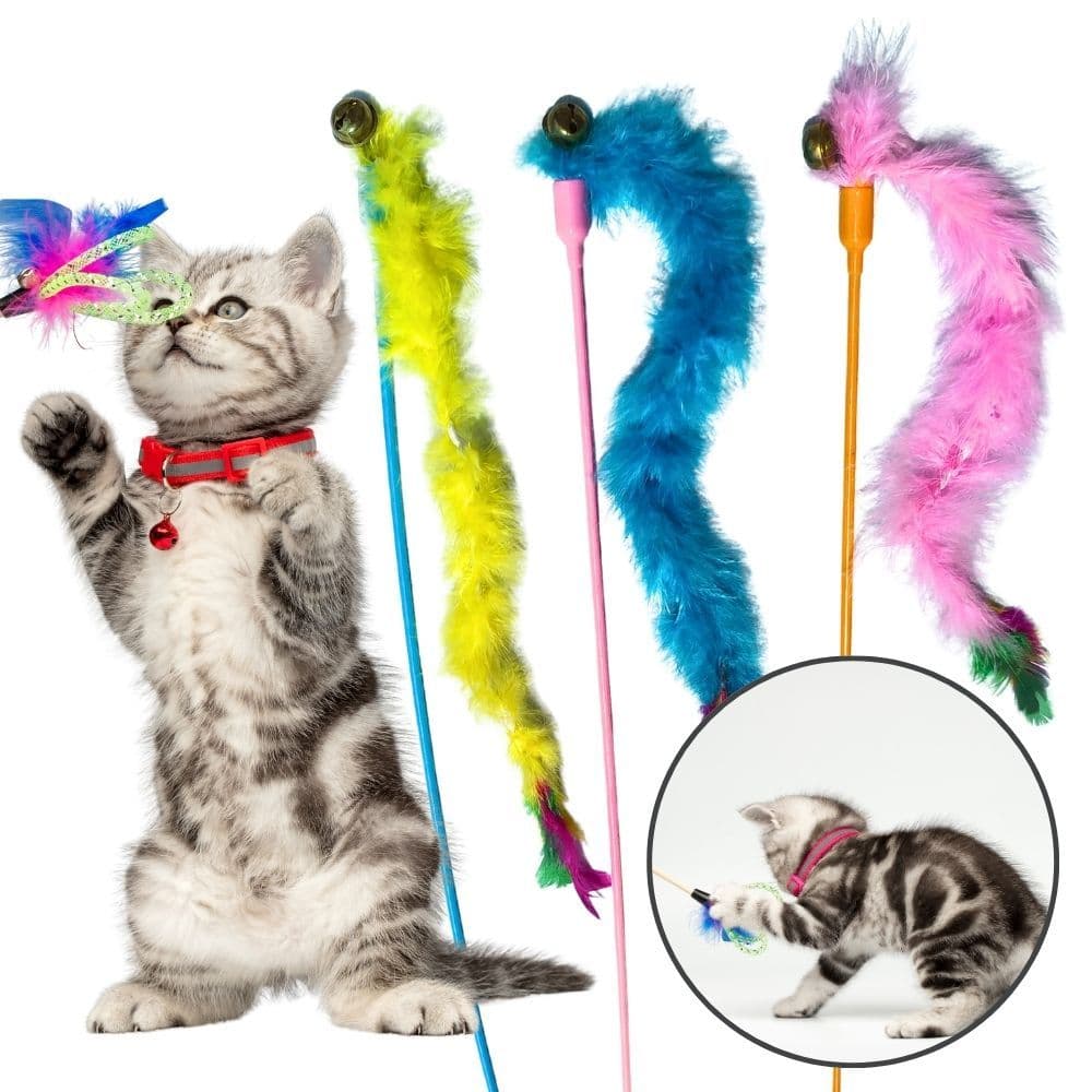 Varinha Interativa para Gatos com Pena e Guizo Brinquedo Gato