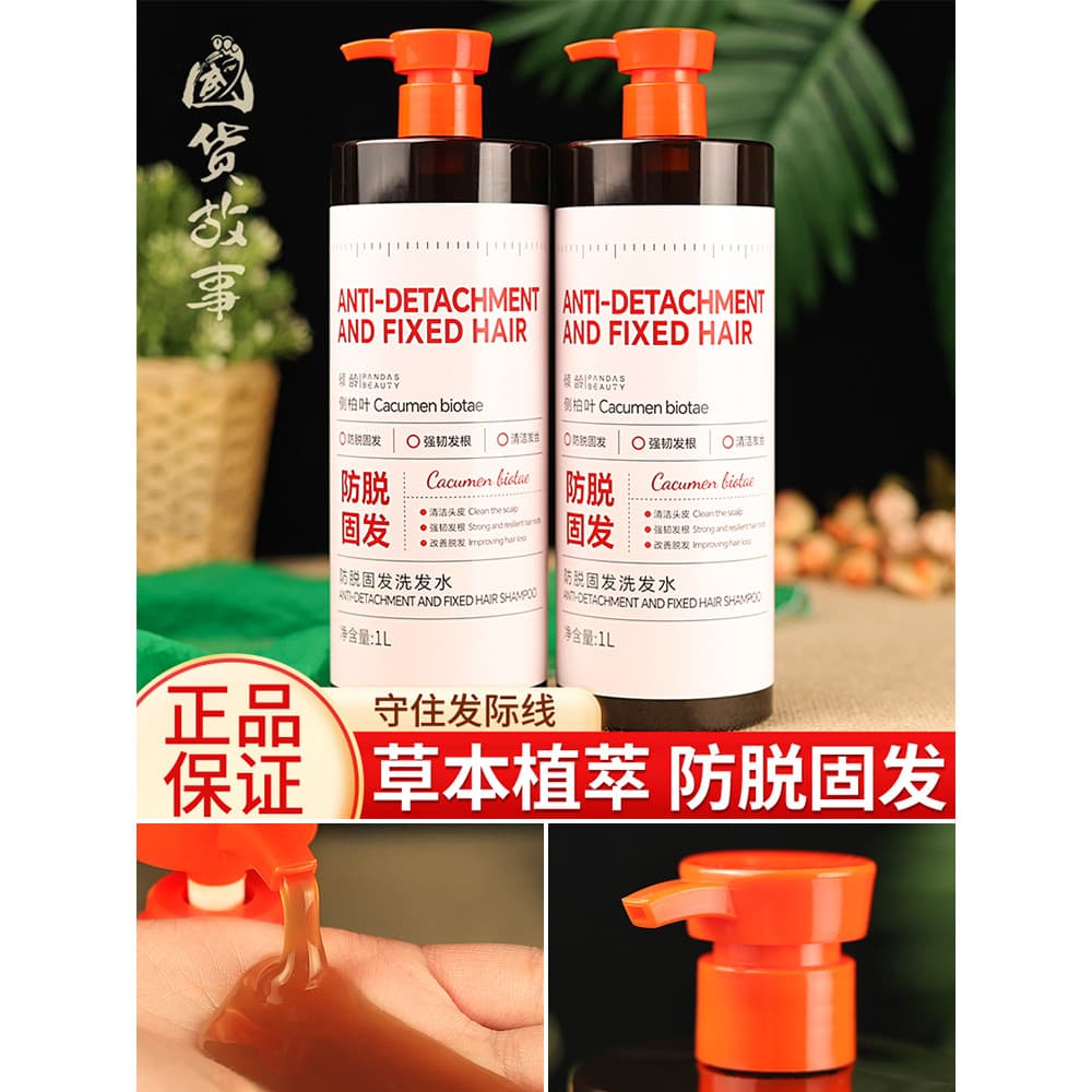 [Doméstico Goods Story] Side Cypress Leaf Gengibre Anti-Fortecimento Shampoo para Cabelo Shampoo Fofo Cuidados com os Ca