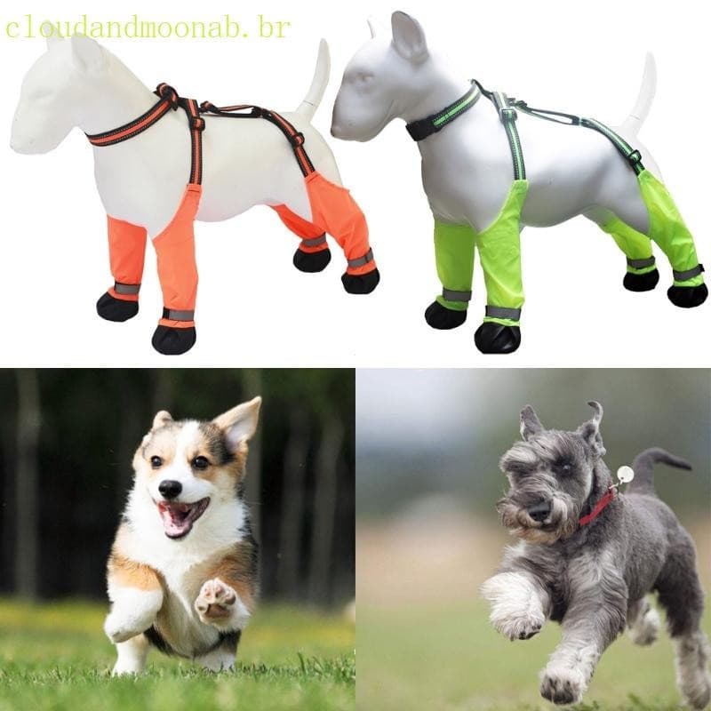 CLO Suspensórios De Bota De Cachorro Para Atividades Ao Ar Livre Protetores De Pés Antiderrapantes Sapatos Reflexivos An