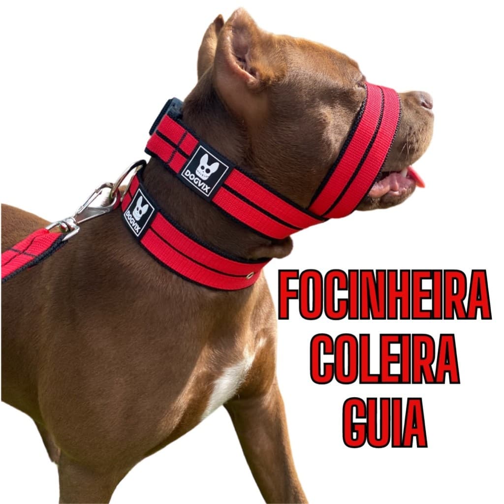 Coleira Com Guia e Focinheira  para passeios treinos Cachorro Médio Grande Porte