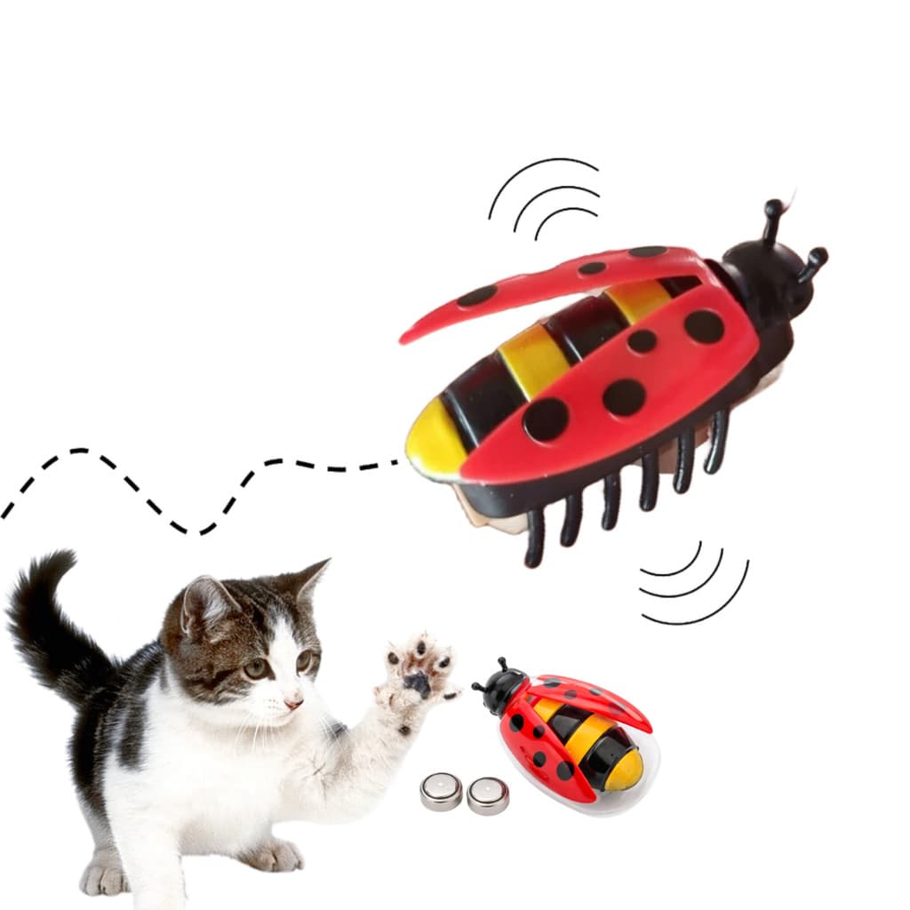 Brinquedo Interativo para Gato Joaninha com Movimento Automático e Pilhas Inclusas