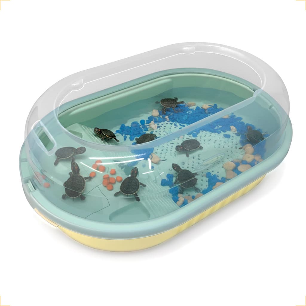 Terrario Aquario Habitat para Anfíbios Mini Tartarugas 10L