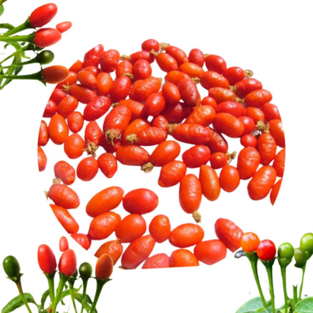 Sementes de Pimenta Cumari Passarinho (Comari) Original 200 Unidades | Alta Germinação | Hortas e Vasos
