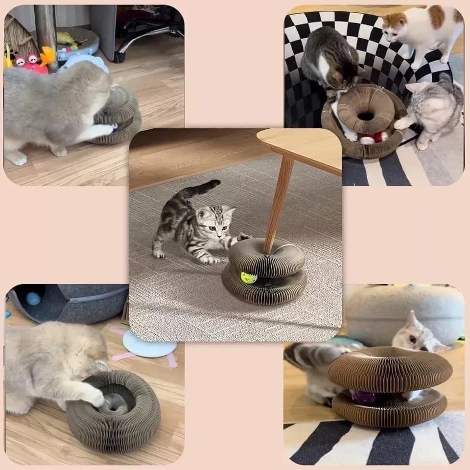 Arranhador Para Gatos Magico C/ Bolinha Brinquedo