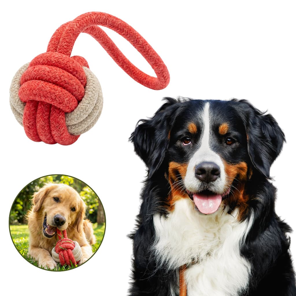 Brinquedo Pet Para Cachorro Bola Corda Com Alça Entrelaçada Mordedor Resistente Sortido
