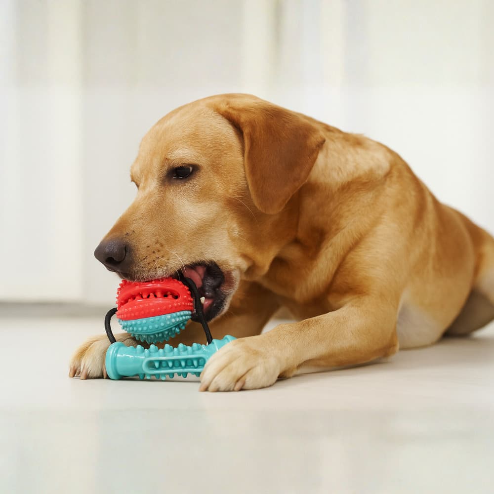 Cabo de Guerra para Cães Cachorros Resistente e Macio | Brinquedo Pet Interativo que Limpa os Dentes e Previne Tártaro