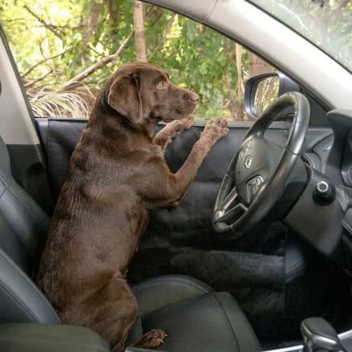 Capa Protetora Pet Impermeável 2 Portas Carro Cães 2 Peças