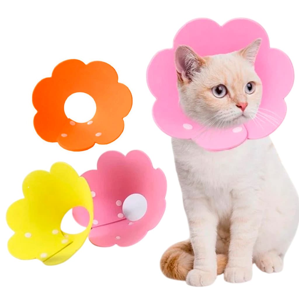 Colar Elizabetano Gato Cirurgia Pet Recuperaçao Cone Ajustavel Dobravel Confortavel
