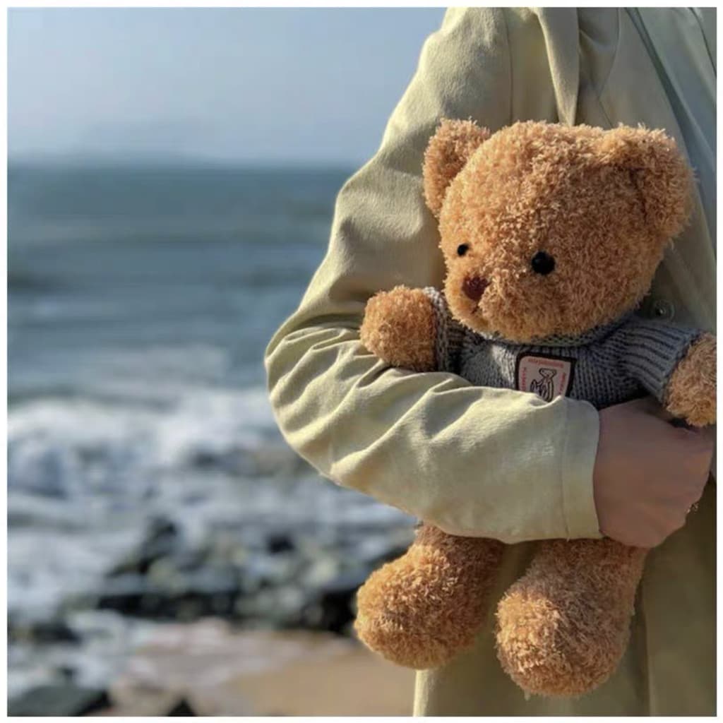 Pequeno urso boneca camisola urso brinquedo de pelúcia vestir urso de pelúcia Ragdoll boneca abraço urso menina presente