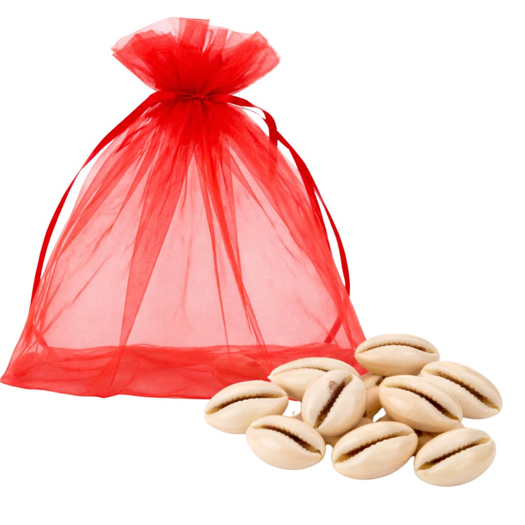 Kit Jogo de Búzios Natural Com16 Peças Umbanda Cancomblé e Com Manual Explicativo e Saquinho para Armazenar