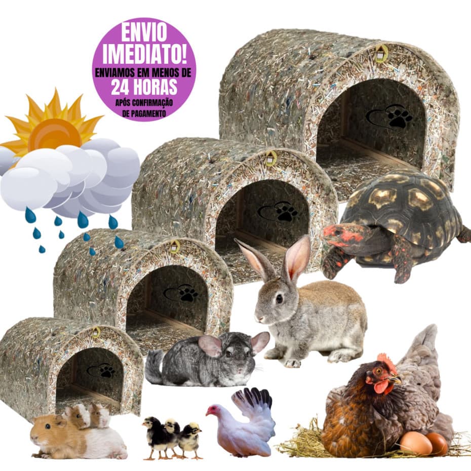Toca Casinha Iglu Ecológica Pet Tartaruga Jabuti Coelho Galinha Codorna Chichila Porquinho da India