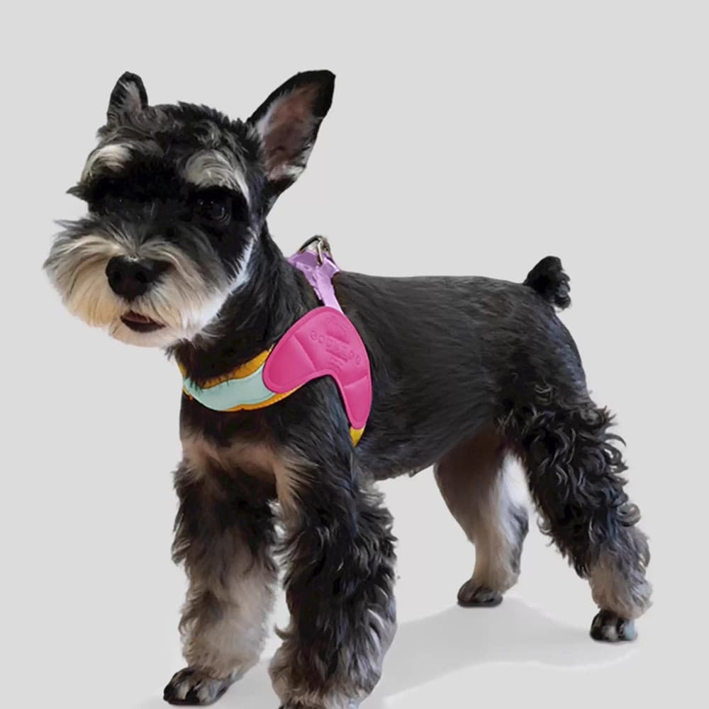 Arnês Para Cães Em Forma De Y Pequenos Shiba Inu Filhote De Cachorro Correias De Peito Macaron Cor Correspondente Animai