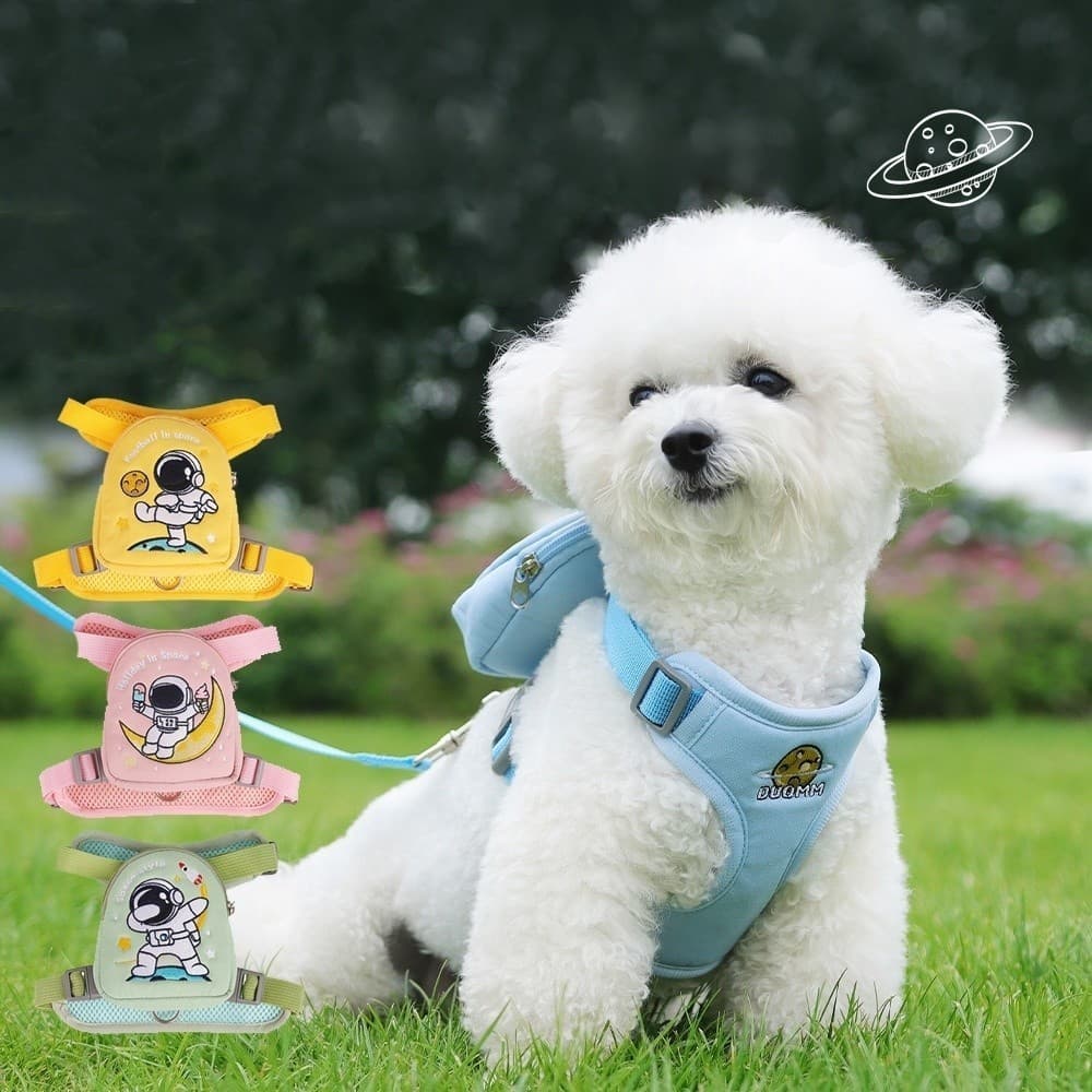 Peitoral Coleira Com Guia e Bolsa Removível Para Cachorro Pet Cães Pequenos E Médios Gato De Viagem