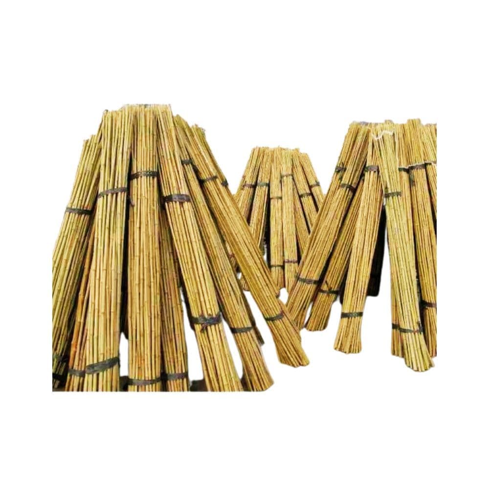 Tutores de Bambu para Reflorestamento: 1mt - 10 unidades
