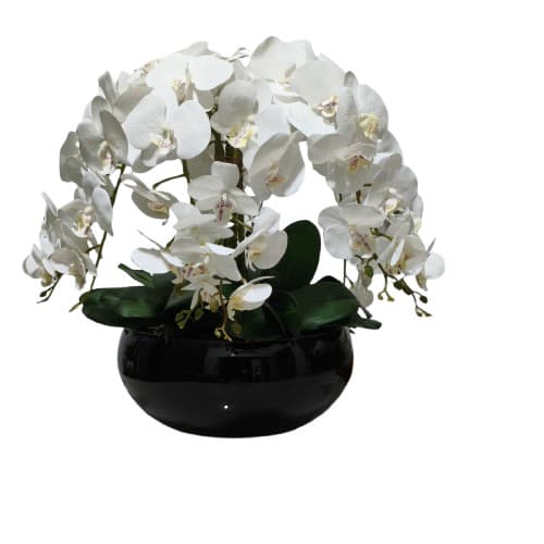 Arranjo de Orquídeas Branca Arranjo Vaso Lagoon Preto Completo Grande