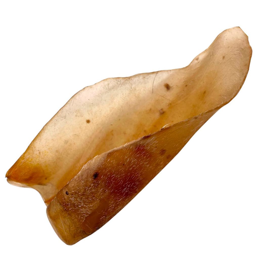 Orelha Bovina Desidratada BeefBone Snack Mordedor Super Premium Cachorros Cães