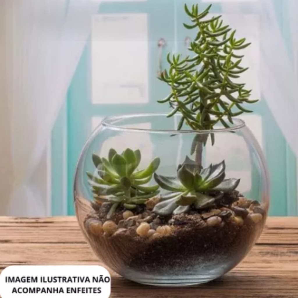 Vaso Aquario 800ml De Vidro Redondo Pequeno Mini Decor