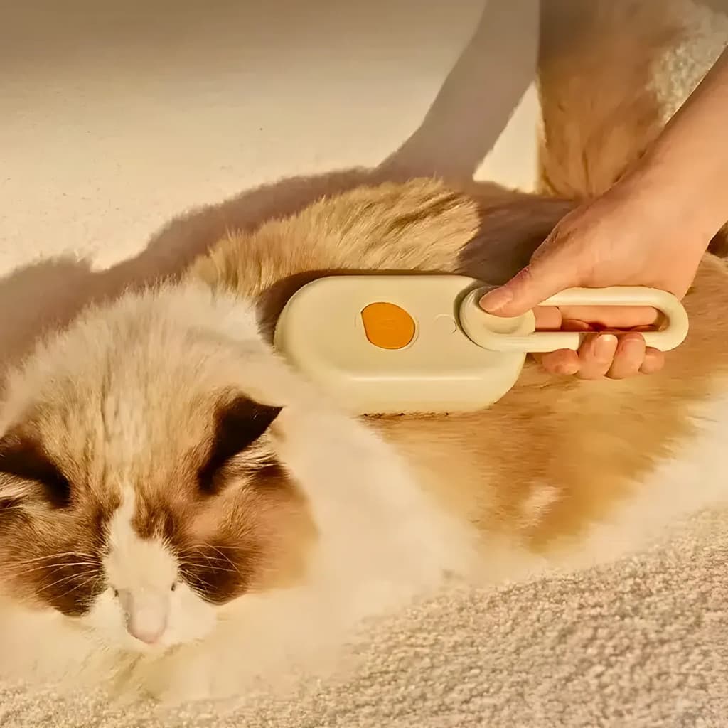 Escova A Vapor Para Pets 3 Em 1 - CARREGAMENTO USB