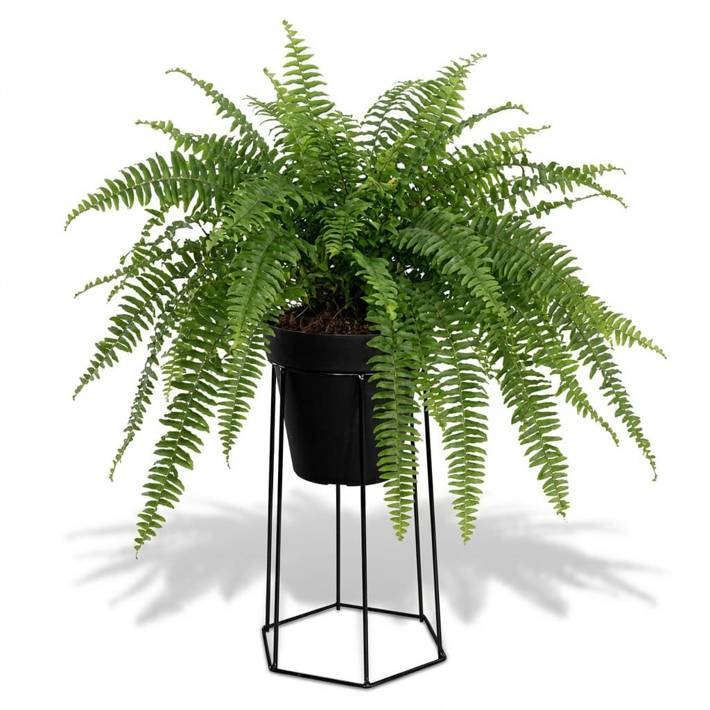 Suporte Decorativo 38cm Preto - Ideal para Elevadores de Plantas e Design Minimalista em Ferro