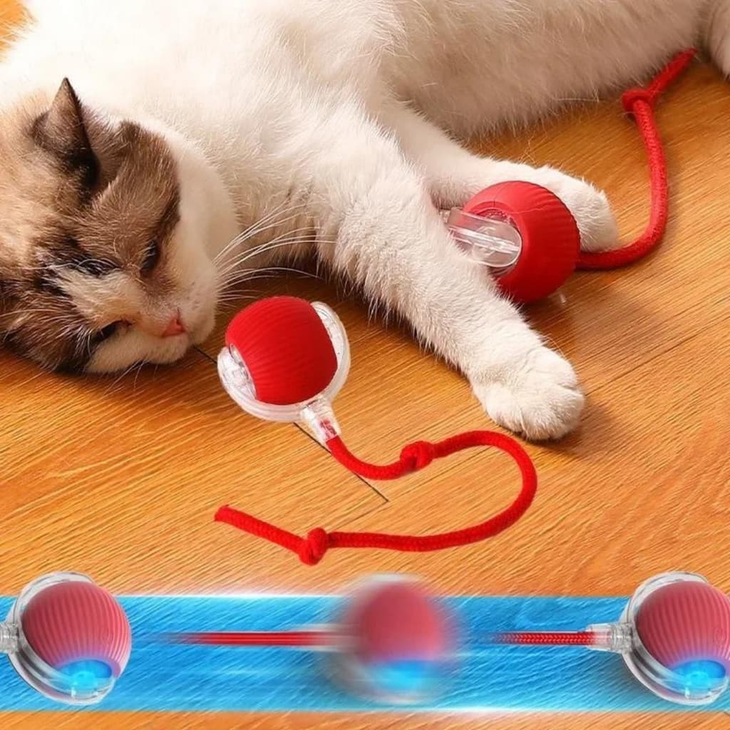 Bola Inteligente para Pets Carregável -  (Cores Sortidas)