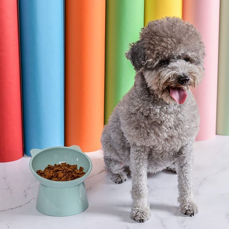 Kit 3 Comedouro e Bebedouro Elevado Anti-Engasgo, Alimentador Ergonômico para Cachorros e Gatos Pets