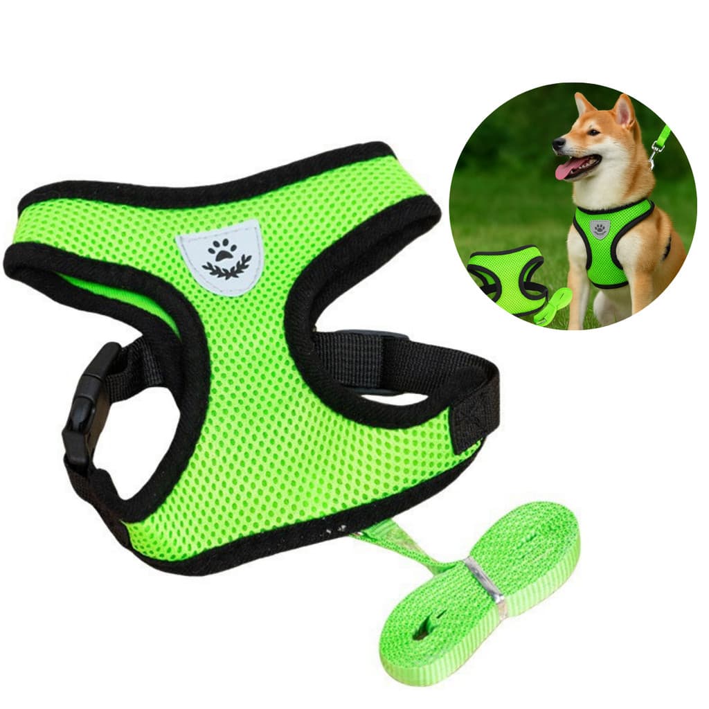 Coleira Guia Pet Tipo Peitoral Para Cães e Gatos Snel Home Cor: Verde Tamanho: GG