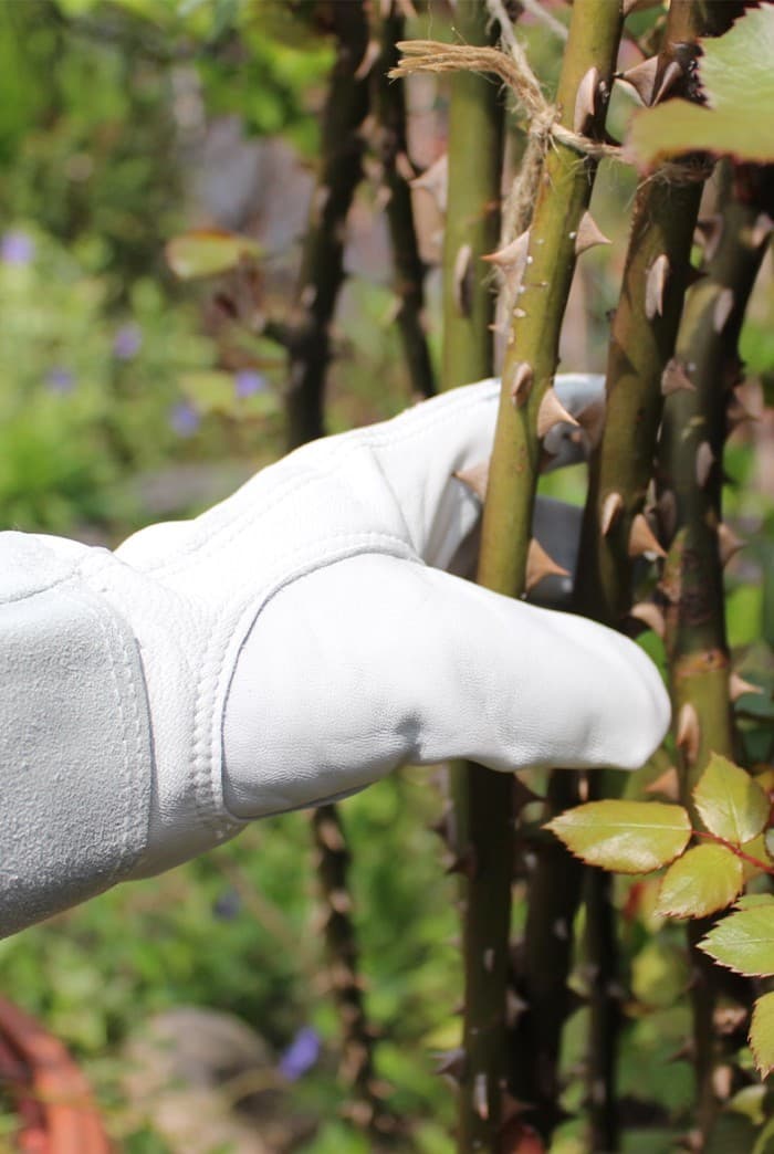 Luvas anti-facada para jardinagem, jardim, poda de rosas, cacto, anti-facada, à prova d'água, ferramenta Floral rosa