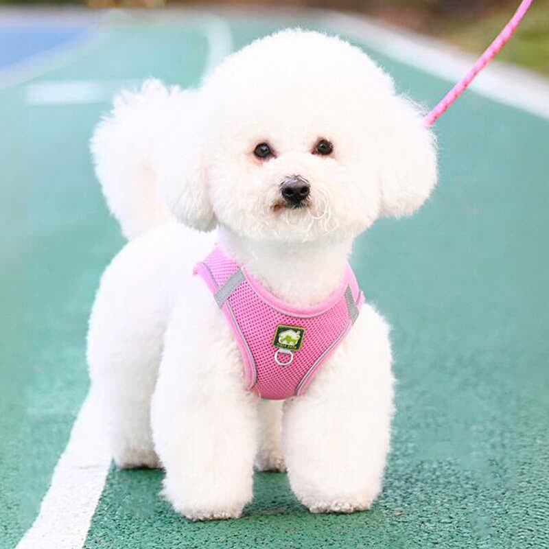 Coleira para cachorro pequeno Bichon Teddy Pomeranian colete estilo cinta peitoral trela para caminhada de cachorro corr