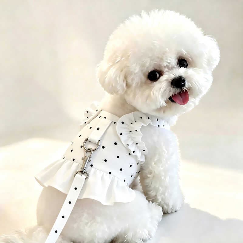Coleira para cachorro, coleira para caminhada, peito para trás, cachorro pequeno, Bichon, pelúcia, animal de estimação,