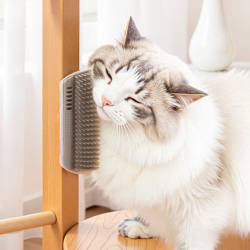 Gato de estimação coçar dispositivo de fricção de cabelo bola de hortelã pente canto provocando gato aliviar o tédio aut
