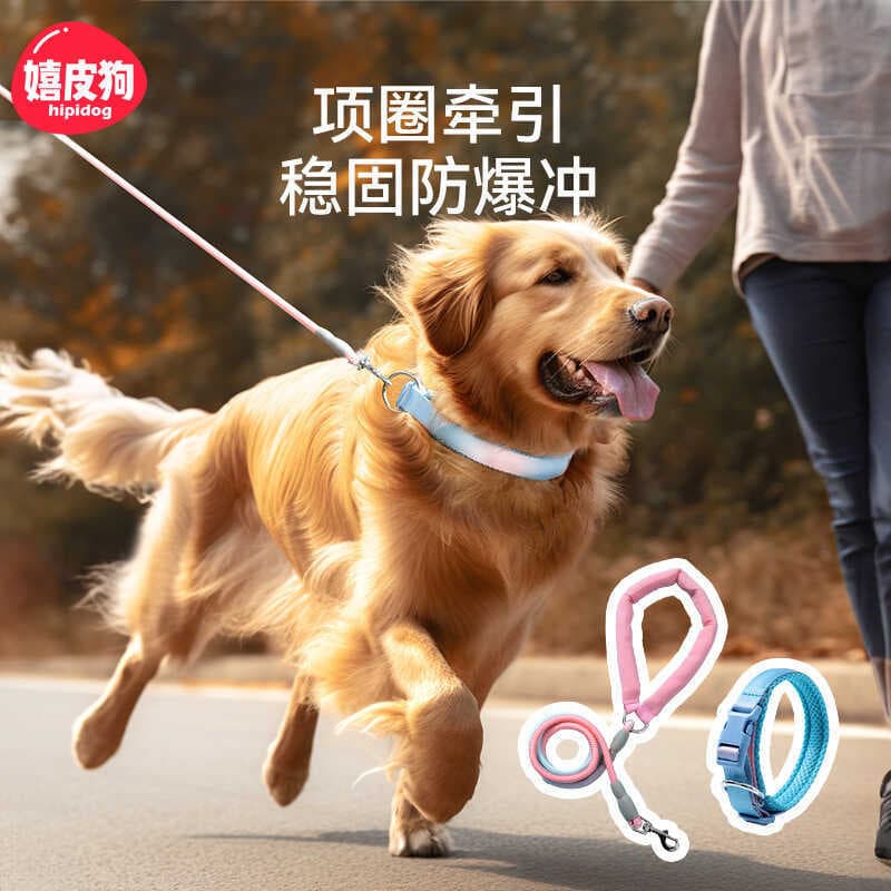 Coleira para cachorro grande, Golden Retriever, Labrador, coleira especial, corrente para cachorro, suprimentos para pas