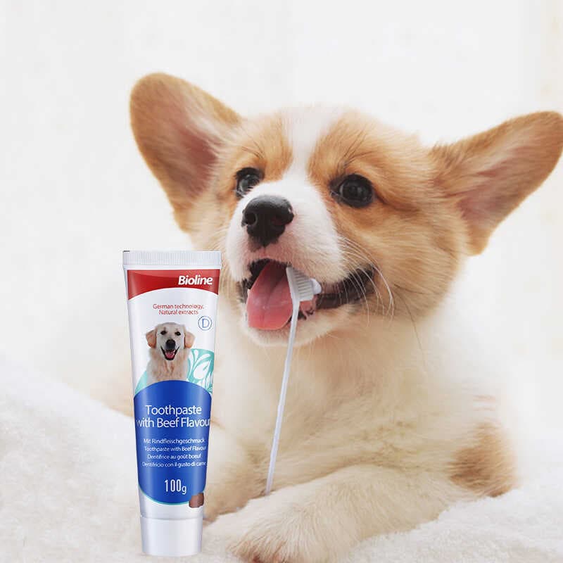 Banlan Pasta de dente para animais de estimação Escova de dentes comestível para cães Escovação de mau hálito Suprimento