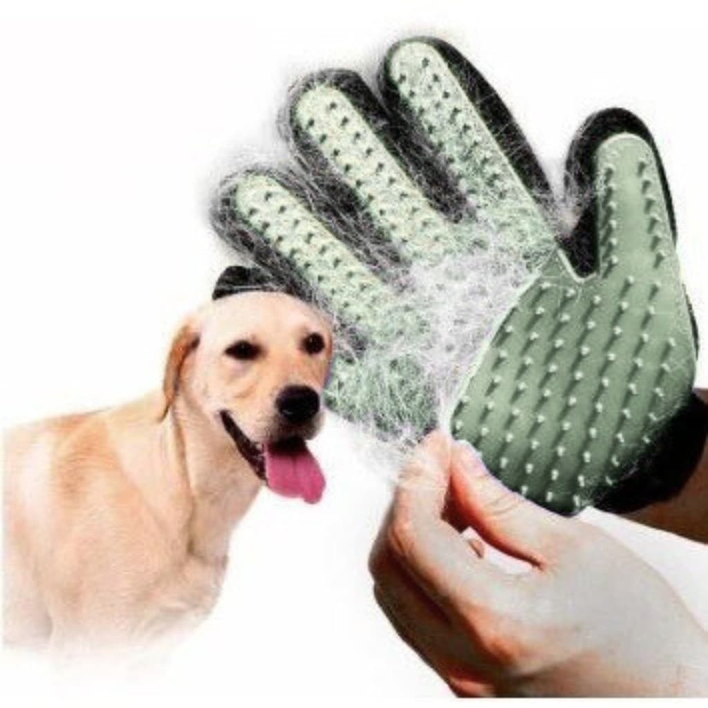 Luva Tira Pelos para Pets Nano Magnética Escova Alisadora Elétrica Bivolt (Cores Sortidas)