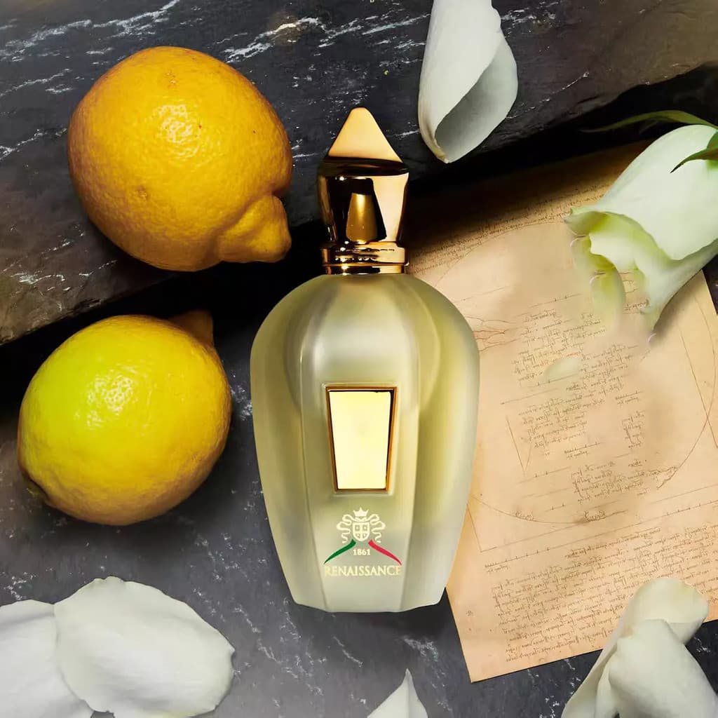 Perfume 100ml Masculino Mulher Fragrância De Longa Duração Cheiro Neutro Colônia Spray Corpo Névoa Alta Qualidade Transp