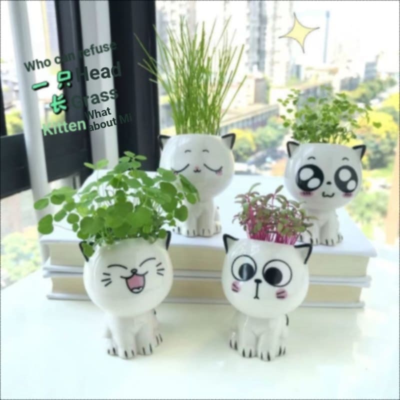 Gato bonito grama vaso planta cerâmica conjunto de plantio dormitório mesa decoração plantio pequeno vaso planta
