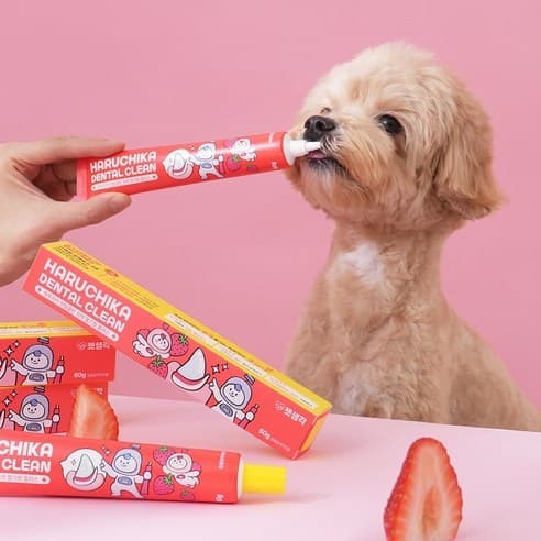 Pense Seu Animal De Estimação Haruchika Dental Clean Plus Pasta De Dente Para Animais Sabor Morango 60g x 2 Pacotes