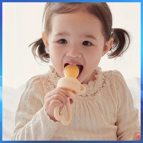 [Feito Na Coreia] Alimentador De Frutas Firgi Heart 3 Cores E Mordedor De Alimentos Frescos Para Bebês Com Capa Bolsa De