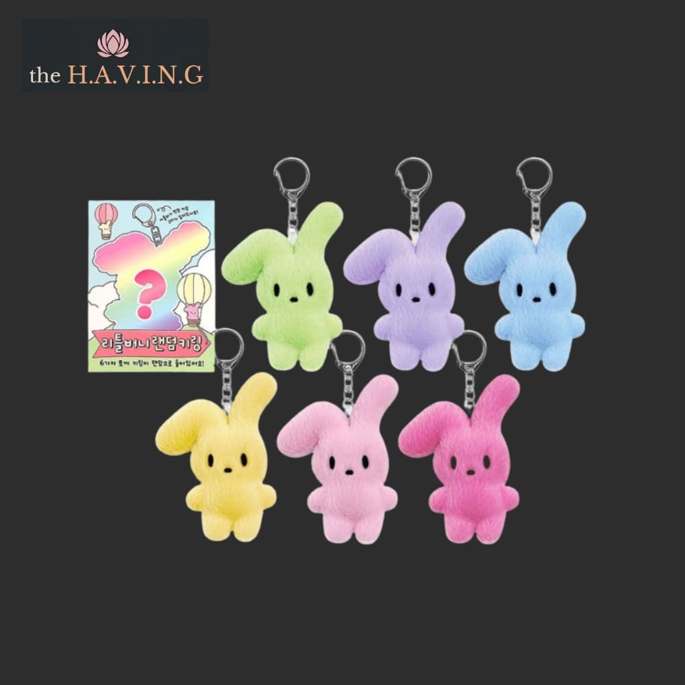 Chaveiro Aleatório LITTLE BUNNY 6 Design_Blind Box Porta-Chaves Amuletos De Bolsa