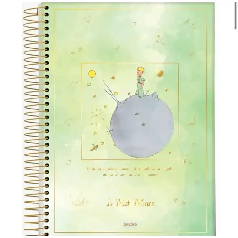 Caderno 01 Matéria O Pequeno Príncipe