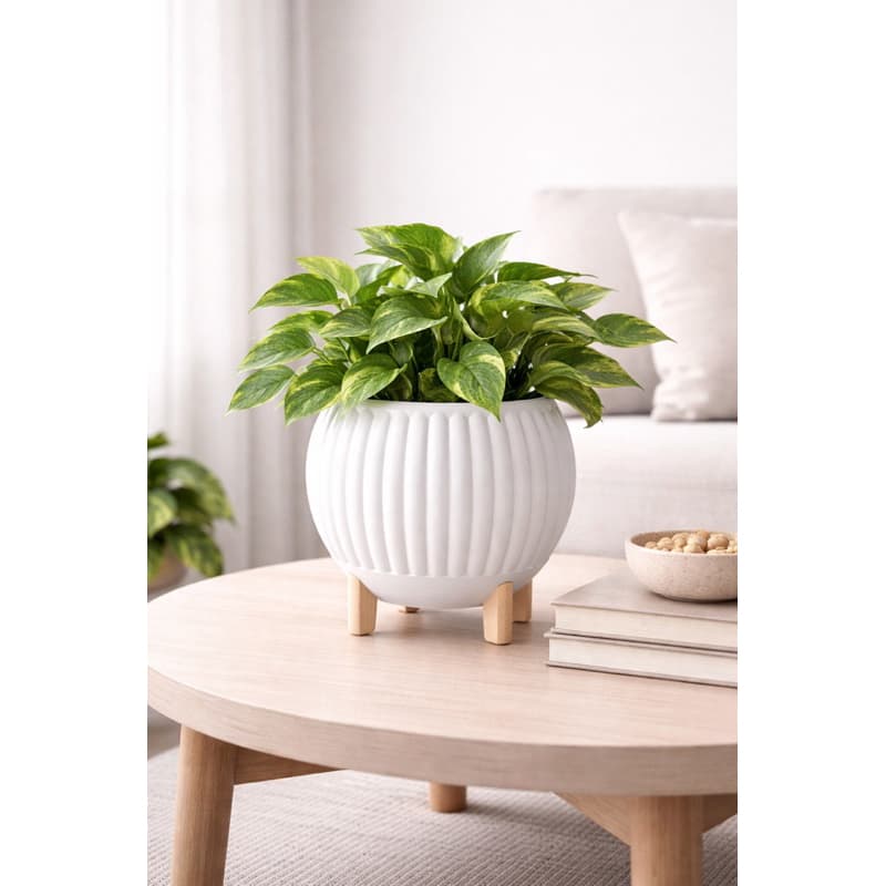 Vaso Decorativo com Pés Tom Madeira 20cm | Design Moderno Texturizado Escandinavo