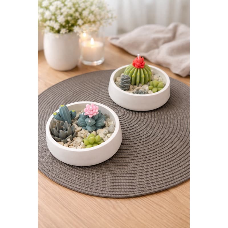 Vela Decorativa Terrário com Cactos e Suculentas em Pote de Gesso