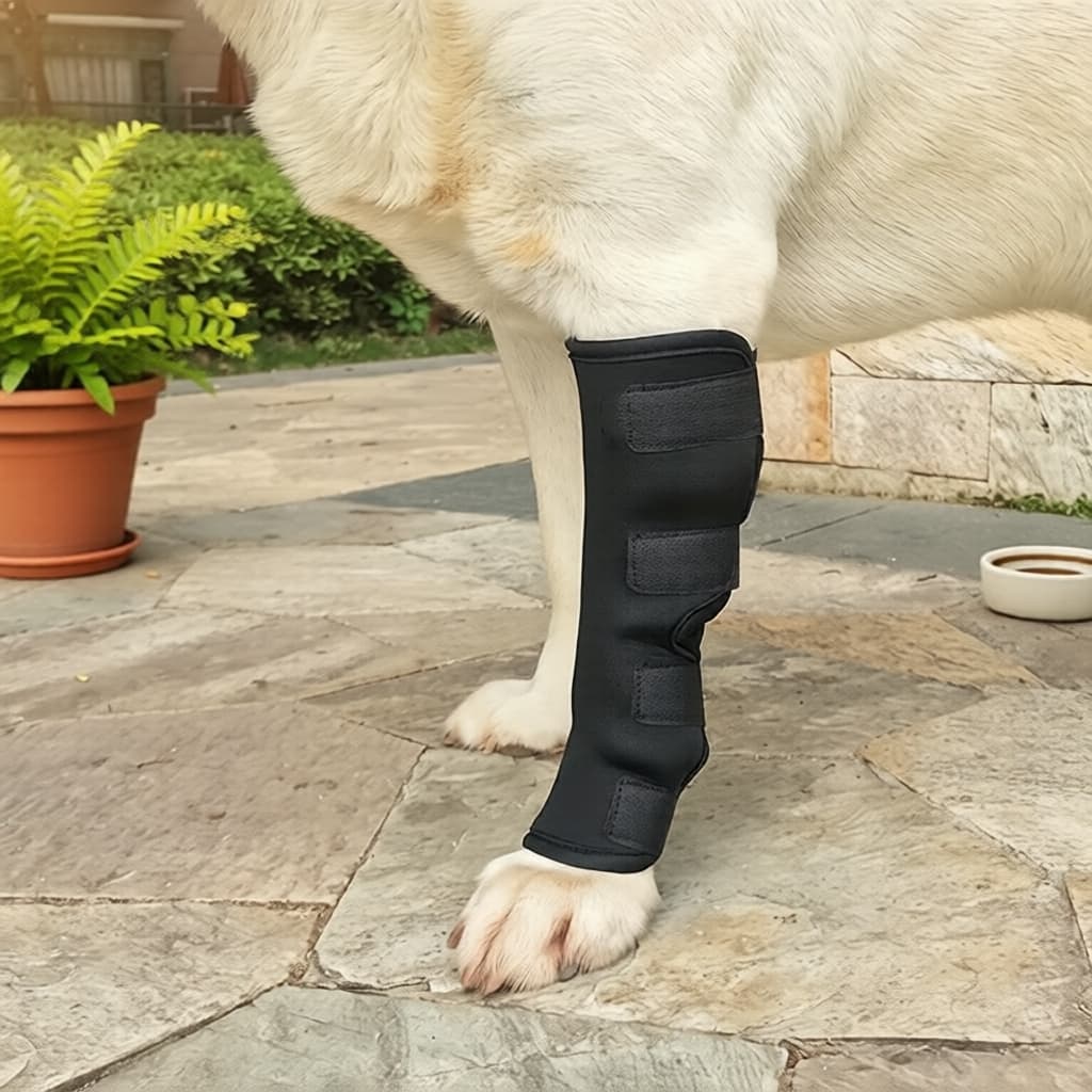 Protetor de Perna & Joelho Anti-Lambida para Cães - Proteção para Articulações em Caminhadas - Sapatos e Botas para Cães