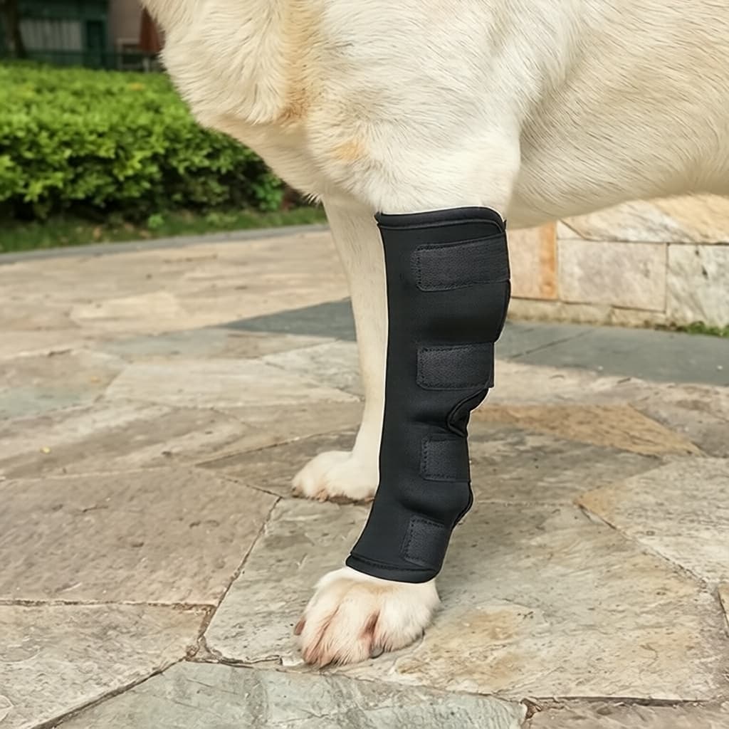 Proteção para Perna de Cachorro, Capa de Joelho Antimordida, Suporte para Dores Articulares, Sapatos para Passear