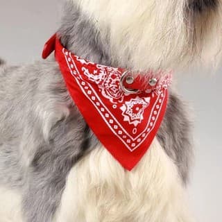 Lenço Adorável De Poliéster De 3 Unidades Para Animais De Estimação Com Elasticidade E Durabilidade ! Promoção