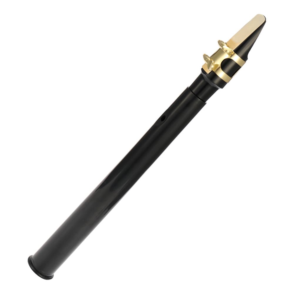 rcobbr Sax De Bolso Preto Mini Saxofone Portátil Pequeno Com Bolsa De Transporte Instrumento De Sopro