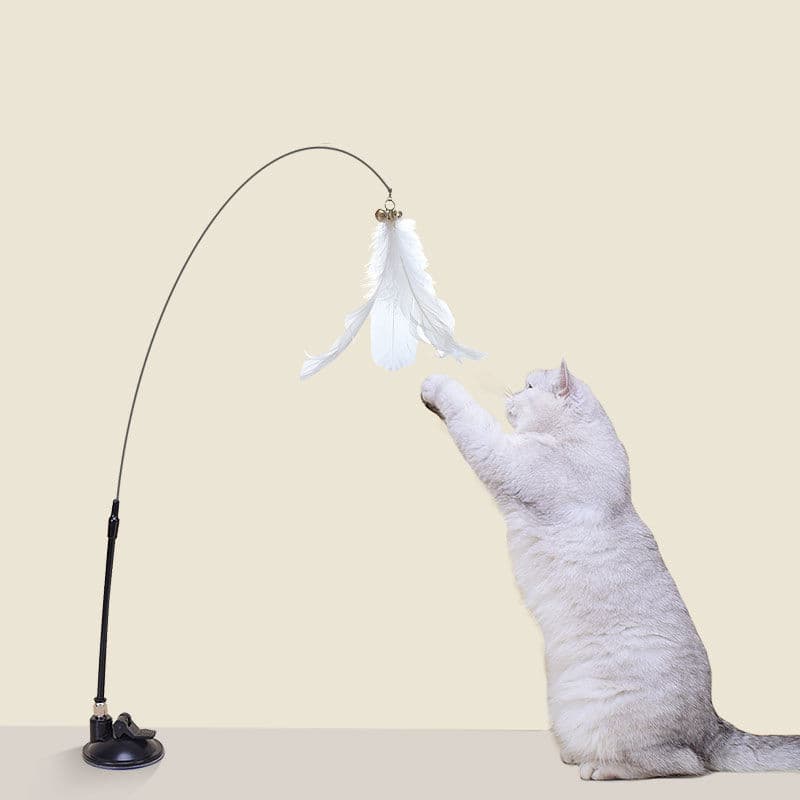 Brinquedo para gato com ventosa forte, varinha longa e sino, para entretenimento próprio do gato, destacável.