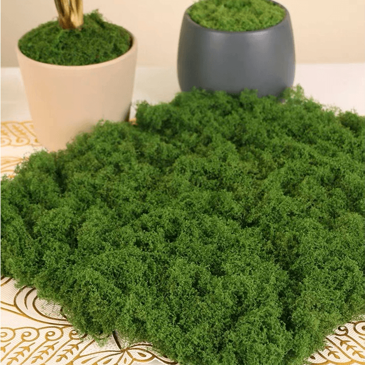 Musgo Falso E Artificial Em Plantas, Paisagens Em Miniatura, Jardins E Decorações Com Grama Cobrindo bonsais