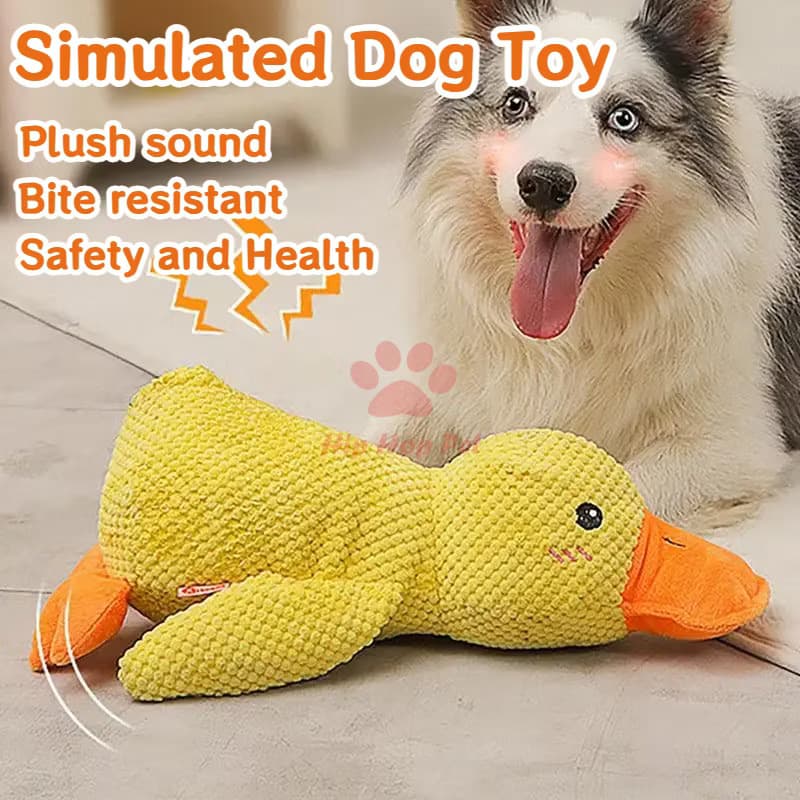 DuraPlay Brinquedos Resistentes para Cães - Pelúcia Alta Som para Cães Pequenos e Brinquedos de Mastigação