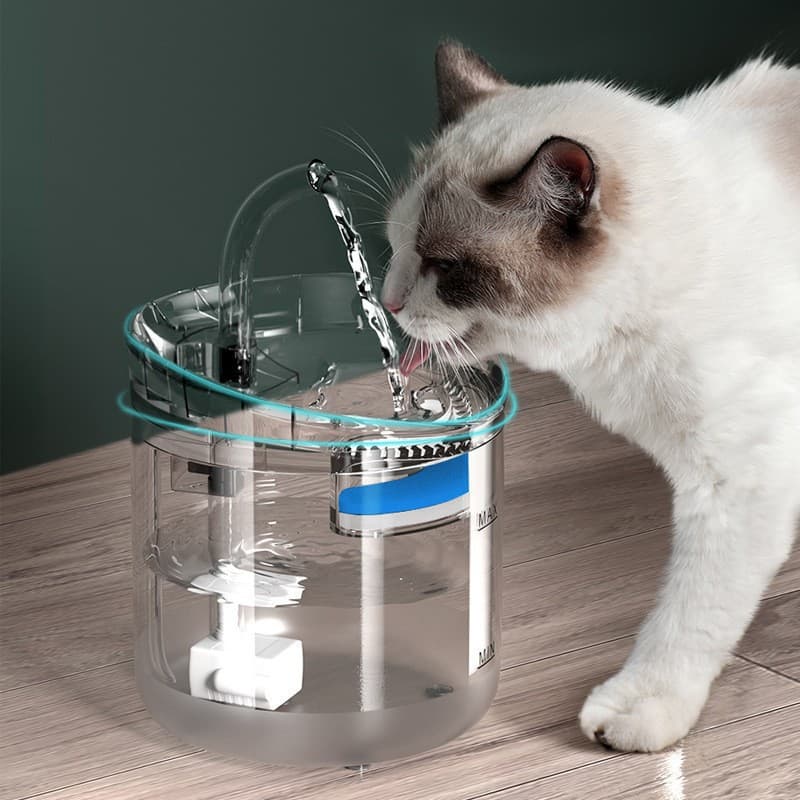 Fonte de água automática para gatos 2L Dispensador de água para animais de estimação sem BPA Bomba silenciosa com filtro