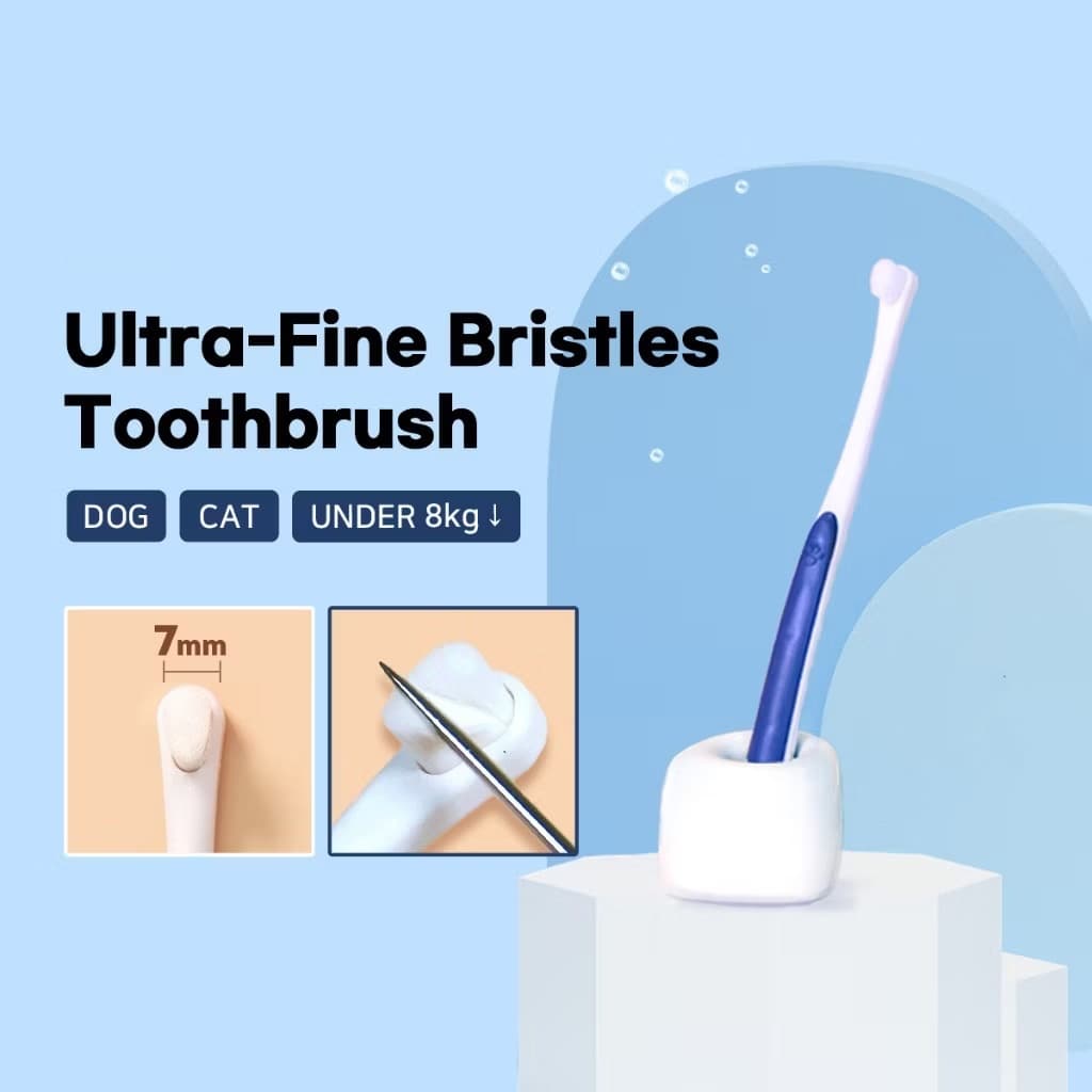 Novas escovas de dentes para pets, pequenas para cães, como Teddy e Spitz, escovas de limpeza bucal para cães e gatos